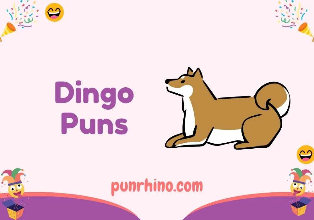 Dingo Puns