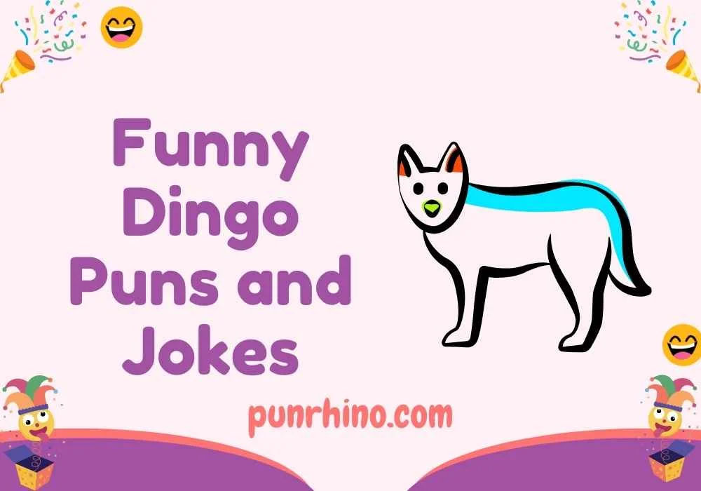 Funny Dingo Puns and Jokes