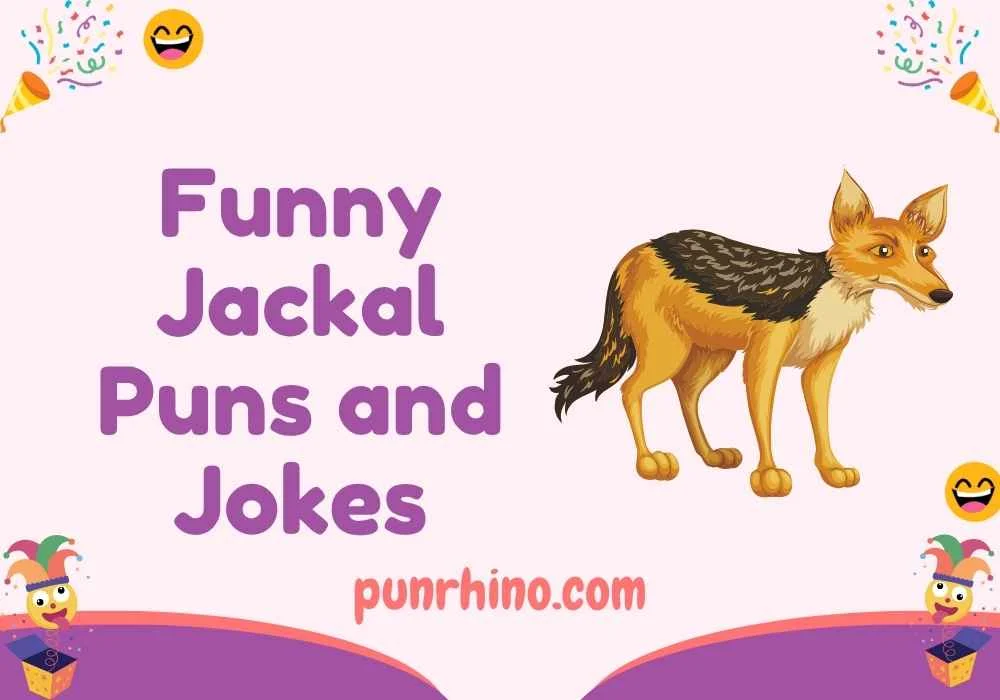 Funny Jackal Puns and Jokes