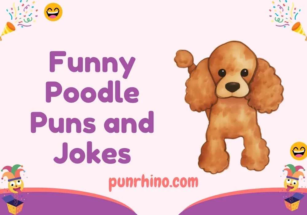 Funny Poodle Puns and Jokes