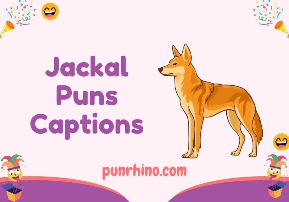 Jackal Puns Captions