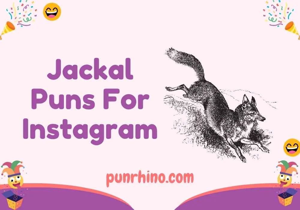 Jackal Puns For Instagram