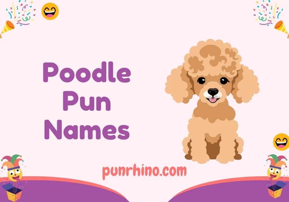 Poodle Pun Names