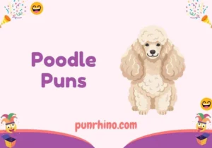 Poodle Puns