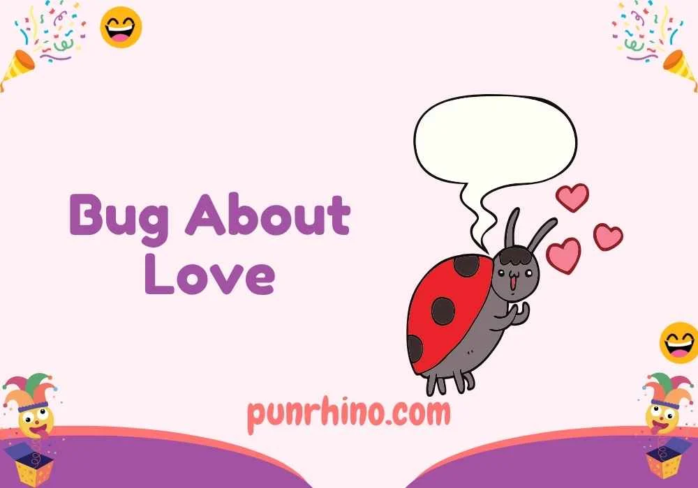Bug About Love