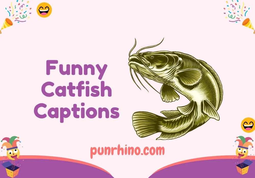 Funny Catfish Captions