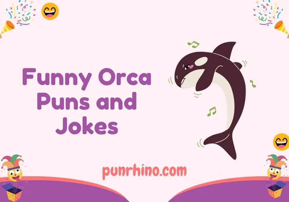 Funny Orca Puns and Jokes