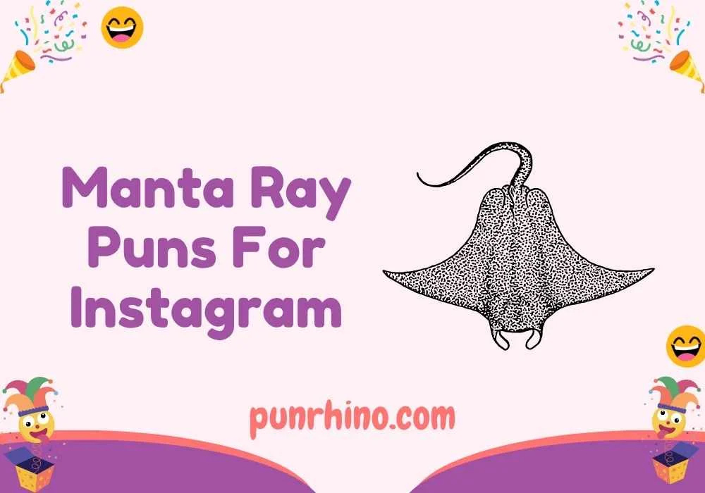 Manta Ray Puns For Instagram