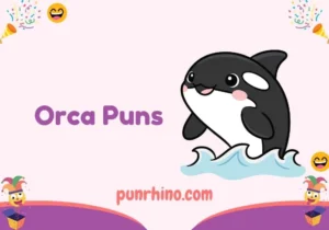 Orca Puns
