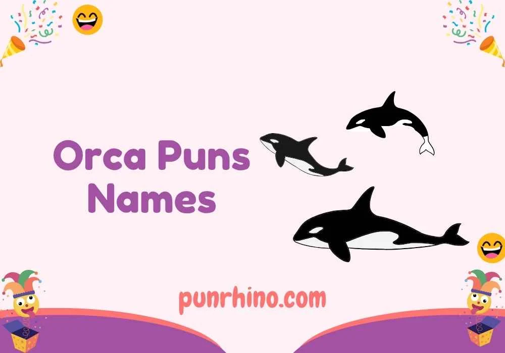 Orca Puns Names
