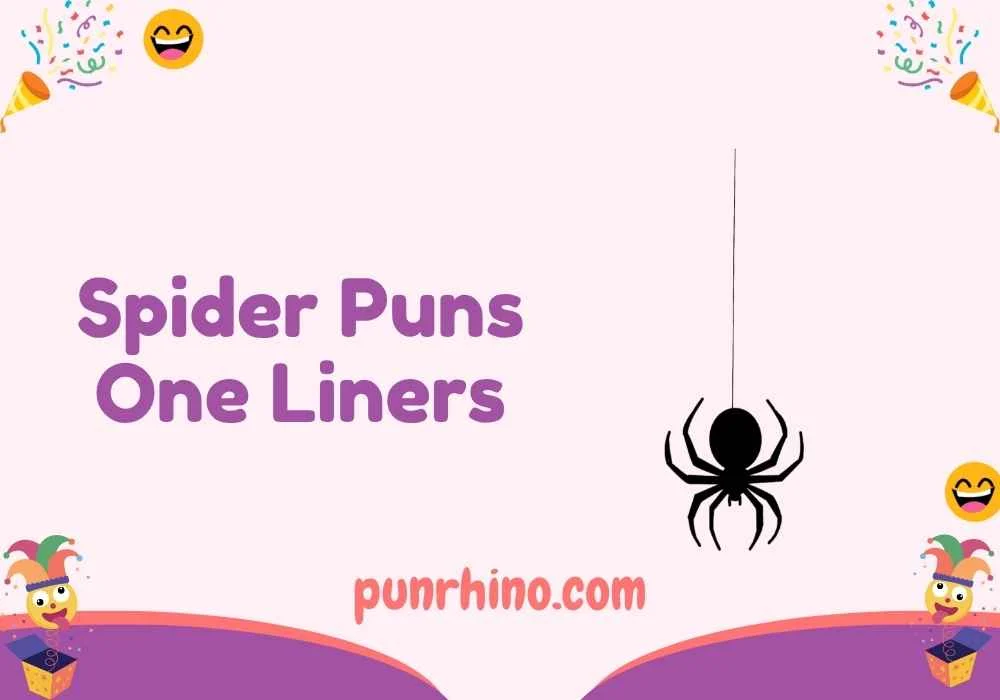 Spider Puns One Liners
