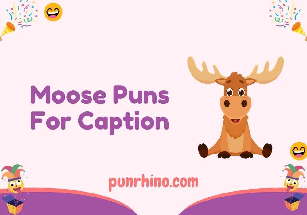 Moose Puns For Caption