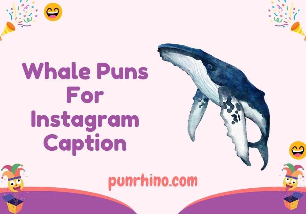 Whale Puns For Instagram Caption